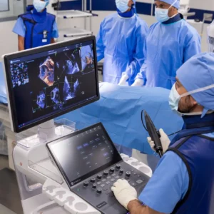 Inmersión en Ecocardiografia Estructural